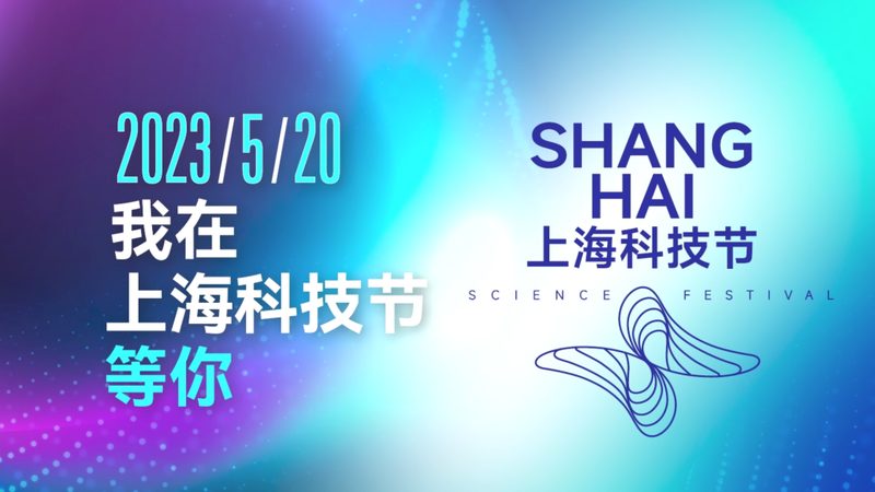 数据安全等级保护公司排名